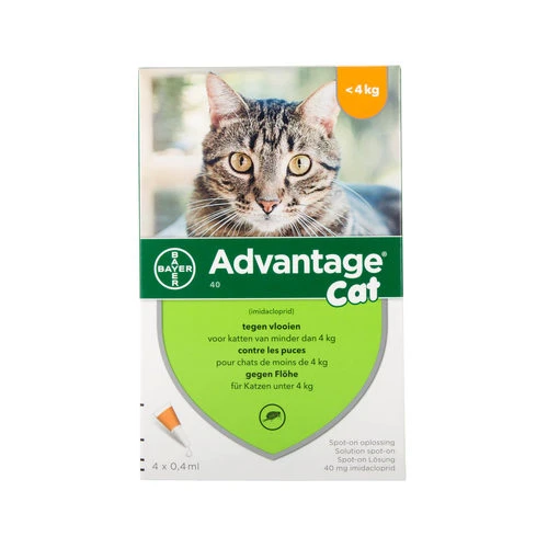 Advantage Katze – Bild 3
