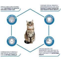 Affinity Advance Adult Huhn & Reis - Katze -Tierbedarfsgeschäft affinity advance adult kip en rijst kat 178249 0500 none