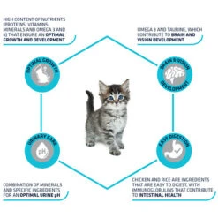 Affinity Advance Kitten Huhn Und Reis 12 Affinity Advance Kitten Huhn Und Reis -Tierbedarfsgeschäft affinity advance kitten kip en rijst kat 178231 0500 none