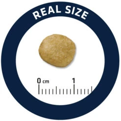 Affinity Advance Veterinary Diets Renal Hund -Tierbedarfsgeschäft affinity advance veterinary diets renal hond 177349 0500 none