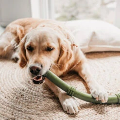 Beeztees Sumo Fit Stick -Tierbedarfsgeschäft beeztees sumo fit stick 178435 0500 none