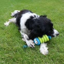 Coockoo Larry 13 Coockoo Larry -Tierbedarfsgeschäft coockoo larry 216712 0500 none