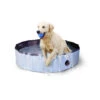 CoolPets Hundepool -Tierbedarfsgeschäft coolpets zwembad 198146 0500 none