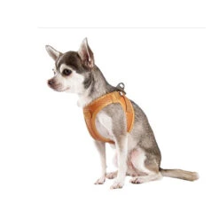 Curli Vegan Apple Leather Geschirr 8 Curli Vegan Apple Leather Geschirr -Tierbedarfsgeschäft curli harnas vegan appelleer 216633 0500 none