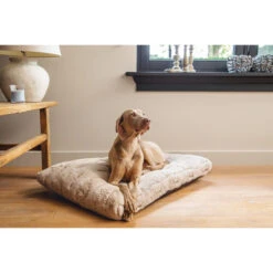 Designed By Lotte Xanti Hundekissen 9 Designed By Lotte Xanti Hundekissen -Tierbedarfsgeschäft designed by lotte xanti hondenkussen 188124 0500 none