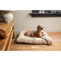 Designed By Lotte Xanti Hundekissen 8 Designed By Lotte Xanti Hundekissen -Tierbedarfsgeschäft designed by lotte xanti hondenkussen 188127 0500 none