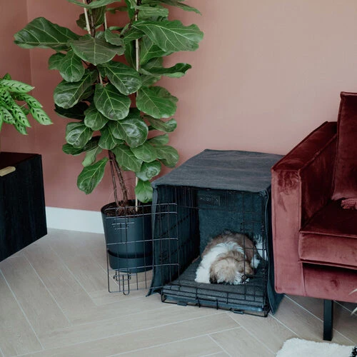 District 70 Sherpa Liegematte 11 District 70 Sherpa Liegematte – Bild 9