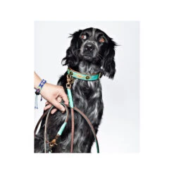 DWAM Hundeleine Johnny Cash 6 DWAM Hundeleine Johnny Cash -Tierbedarfsgeschäft dwam hondenriem johnny cash 162814 0500 none