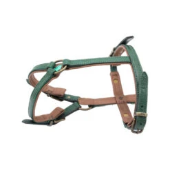 DWAM Hundegschirr Ivy 8 DWAM Hundegschirr Ivy -Tierbedarfsgeschäft dwam hondentuigje ivy 182737 0500 none