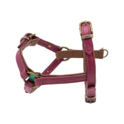 DWAM Hundegeschirr Lou Lou -Tierbedarfsgeschäft dwam hondentuigje lou lou 182155 0500 none