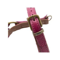 DWAM Hundegeschirr Lou Lou -Tierbedarfsgeschäft dwam hondentuigje lou lou 182158 0500 none