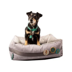 DWAM Jungle Love Korb -Tierbedarfsgeschäft dwam jungle love mand 186595 0500 none