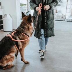 Hunter Sicherheitsgeschirr Maldon -Tierbedarfsgeschäft hunter veiligheidsharnas maldon 221557 0500 none