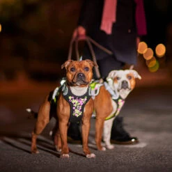 Hurtta - Geschirr Weekend Warrior - Neon Licorice -Tierbedarfsgeschäft hurtta weekend warrior harnas neon licorice 216598 0500 none