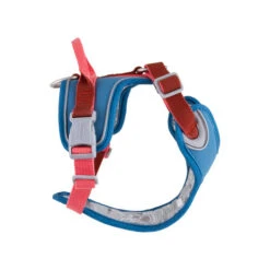 Hurtta - Geschirr Weekend Warrior Winter - Bilberry -Tierbedarfsgeschäft hurtta weekend warrior winter harnas bilberry 216609 0500 none