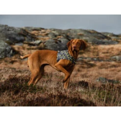 Hurtta Go Geschirr Storm Grey -Tierbedarfsgeschäft hurtta go harness storm grey 201305 0500 none