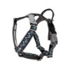 Hurtta Razzle Dazzle Y-Harness - Blackberry -Tierbedarfsgeschäft hurtta razzle dazzle harness blackberry 175969 0500 none