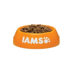 IAMS For Vitality Cat Adult Fish & Chicken -Tierbedarfsgeschäft iams cat adult fish chicken 133718 0500 none