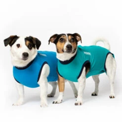 Jacketz Medical Body Suit Für Hunde -Tierbedarfsgeschäft jacketz medical body suit hond 209516 0500 none