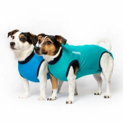 Jacketz Medical Body Suit Für Hunde -Tierbedarfsgeschäft jacketz medical body suit hond 209519 0500 none