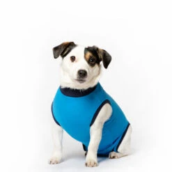 Jacketz Medical Body Suit Für Hunde -Tierbedarfsgeschäft jacketz medical body suit hond 209522 0500 none
