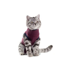 Jacketz Medical Body Suit Für Katzen -Tierbedarfsgeschäft jacketz medical body suit kat 154129 0500 none