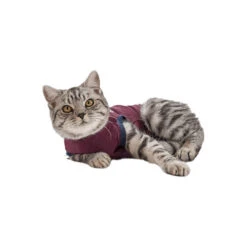 Jacketz Medical Body Suit Für Katzen -Tierbedarfsgeschäft jacketz medical body suit kat 154147 0500 none