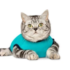 Jacketz Medical Body Suit Für Katzen -Tierbedarfsgeschäft jacketz medical body suit kat 209783 0500 none