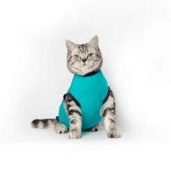 Jacketz Medical Body Suit Für Katzen -Tierbedarfsgeschäft jacketz medical body suit kat 209789 0500 none