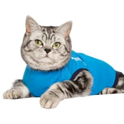 Jacketz Medical Body Suit Für Katzen -Tierbedarfsgeschäft jacketz medical body suit kat 209792 0500 none