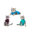 Jacketz Medical Body Suit Für Katzen -Tierbedarfsgeschäft jacketz medical body suit kat 209795 0500 none
