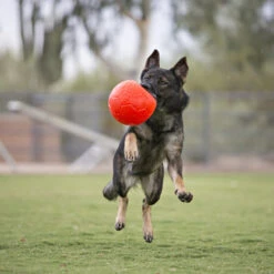 Jolly Soccer Ball -Tierbedarfsgeschäft jolly soccer ball 162241 0500 none