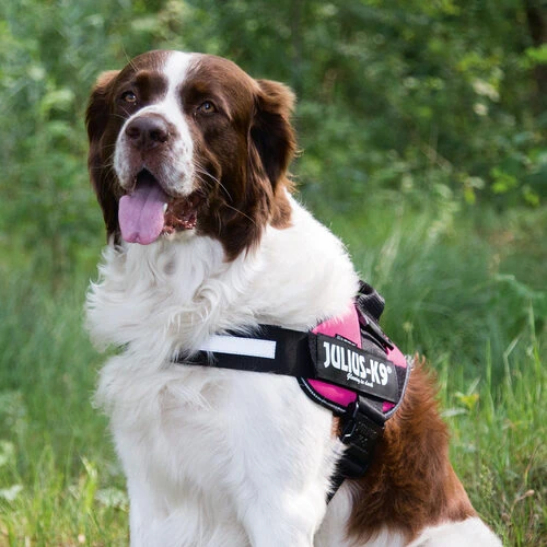 Julius K9 IDC Powergeschirr 9 Julius K9 IDC Powergeschirr – Bild 7