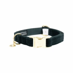 Kentucky Dogwear Corduroy Hundehalsband -Tierbedarfsgeschäft kentucky dogwear corduroy hondenhalsband 219194 0500 none