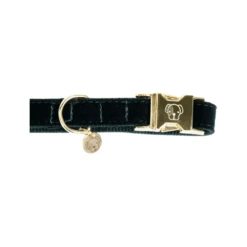 Kentucky Dogwear Corduroy Hundehalsband -Tierbedarfsgeschäft kentucky dogwear corduroy hondenhalsband 219195 0500 none