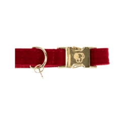 Kentucky Dogwear Corduroy Hundehalsband -Tierbedarfsgeschäft kentucky dogwear corduroy hondenhalsband 219199 0500 none