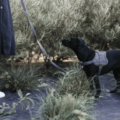 Kentucky Dogwear Hundegeschirr Body Safe Wool -Tierbedarfsgeschäft kentucky dogwear hondenharnas body safe wool 219214 0500 none