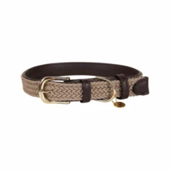 Kentucky Dogwear Nylon Hundehalsband -Tierbedarfsgeschäft kentucky dogwear nylon hondenhalsband 219176 0500 none