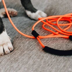 Kentucky Dogwear Schleppleine Soft Rubber -Tierbedarfsgeschäft kentucky dogwear sleeplijn soft rubber 219203 0500 none