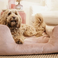 Kentucky Dogwear Velvet Hundekorb -Tierbedarfsgeschäft kentucky dogwear velvet hondenmand 219658 0500 none