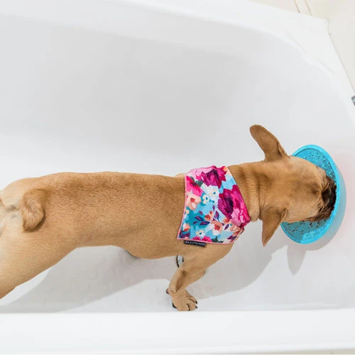 LickiMat Splash 4 LickiMat Splash – Bild 2