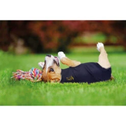 Medical Pet Shirt Hund -Tierbedarfsgeschäft medical pet shirt hond 149981 0500 none