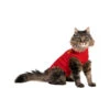 Medical Pet Shirt Katze -Tierbedarfsgeschäft medical pet shirt kat 167407 0500 none