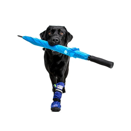 Medical Pet Shirt Boot 5 Medical Pet Shirt Boot – Bild 3