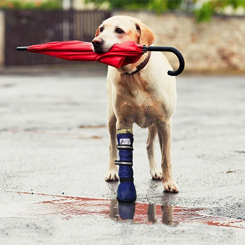 Medical Pet Shirt Boot 11 Medical Pet Shirt Boot – Bild 9