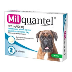 Milquantel Hund -Tierbedarfsgeschäft milquantel hond 112622 0500 none