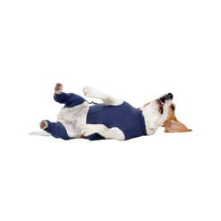 MPS-HLS Hinterbeinschutz -Tierbedarfsgeschäft mps hls achterpootmouwtjes 167440 0500 none