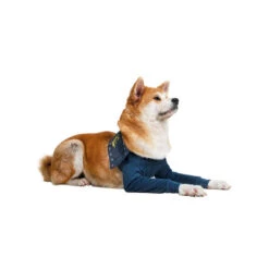 MPS-TAZ2 Vorderpfotenschutz -Tierbedarfsgeschäft mps taz2 voorpootmouwtjes 167446 0500 none