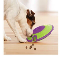 Nina Ottosson Dog Treat Maze -Tierbedarfsgeschäft nina ottosson dog treat maze 96110 0500 none