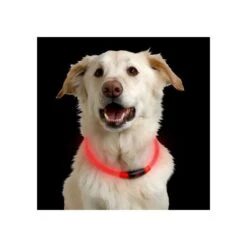 Nite Ize NiteHowl LED Safety Necklace -Tierbedarfsgeschäft nite ize nitehowl led safety necklace 89526 0500 none